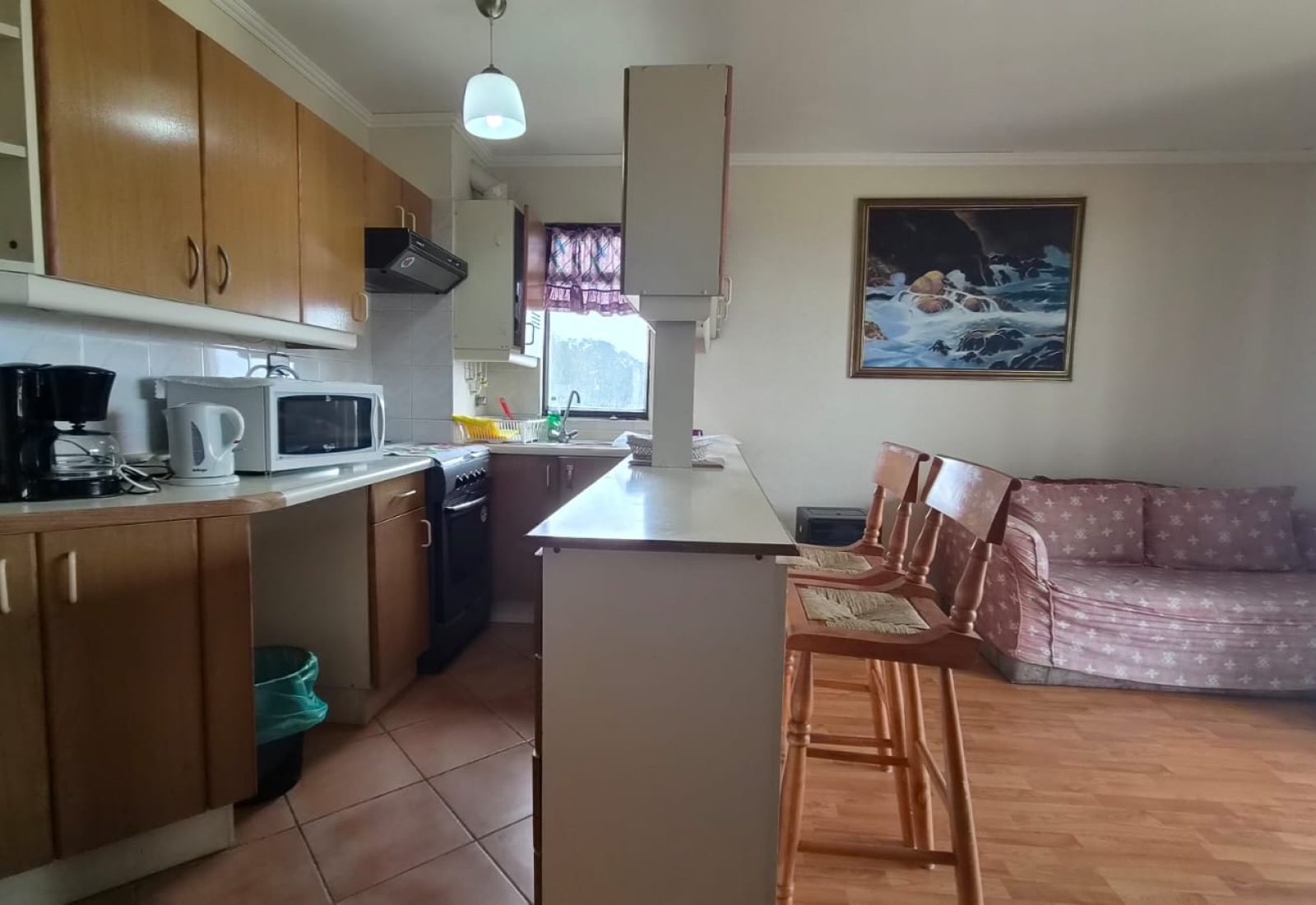 FOTO1