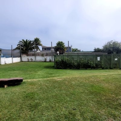 FOTO14