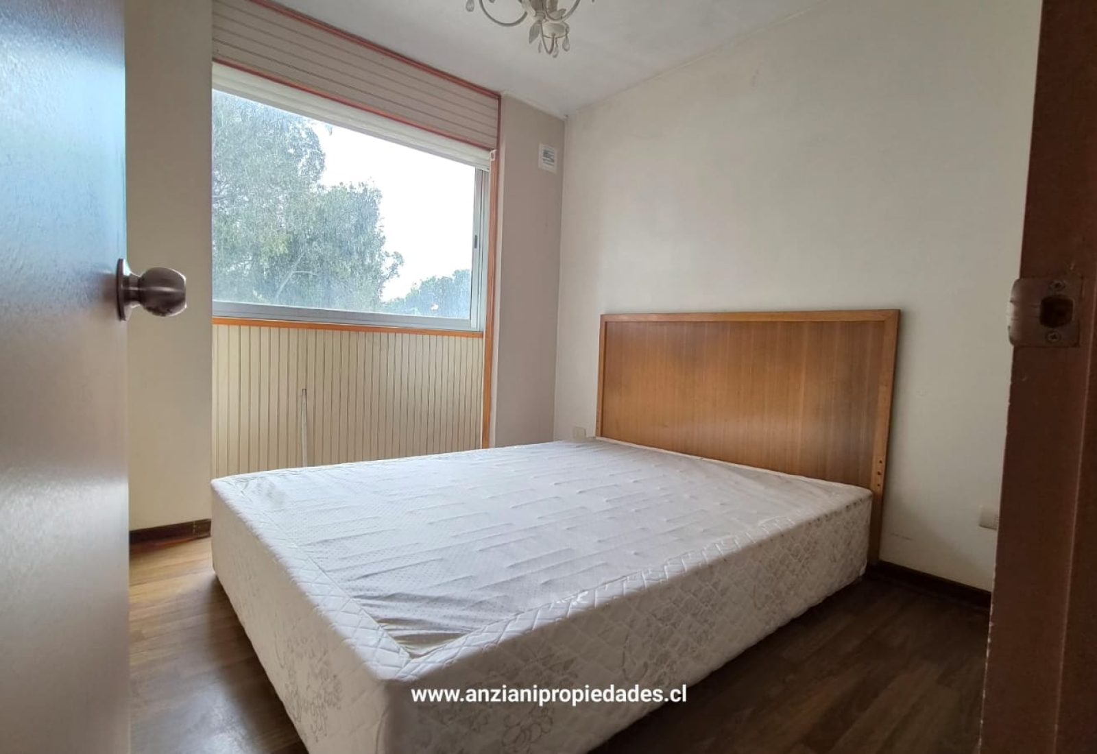 FOTO4
