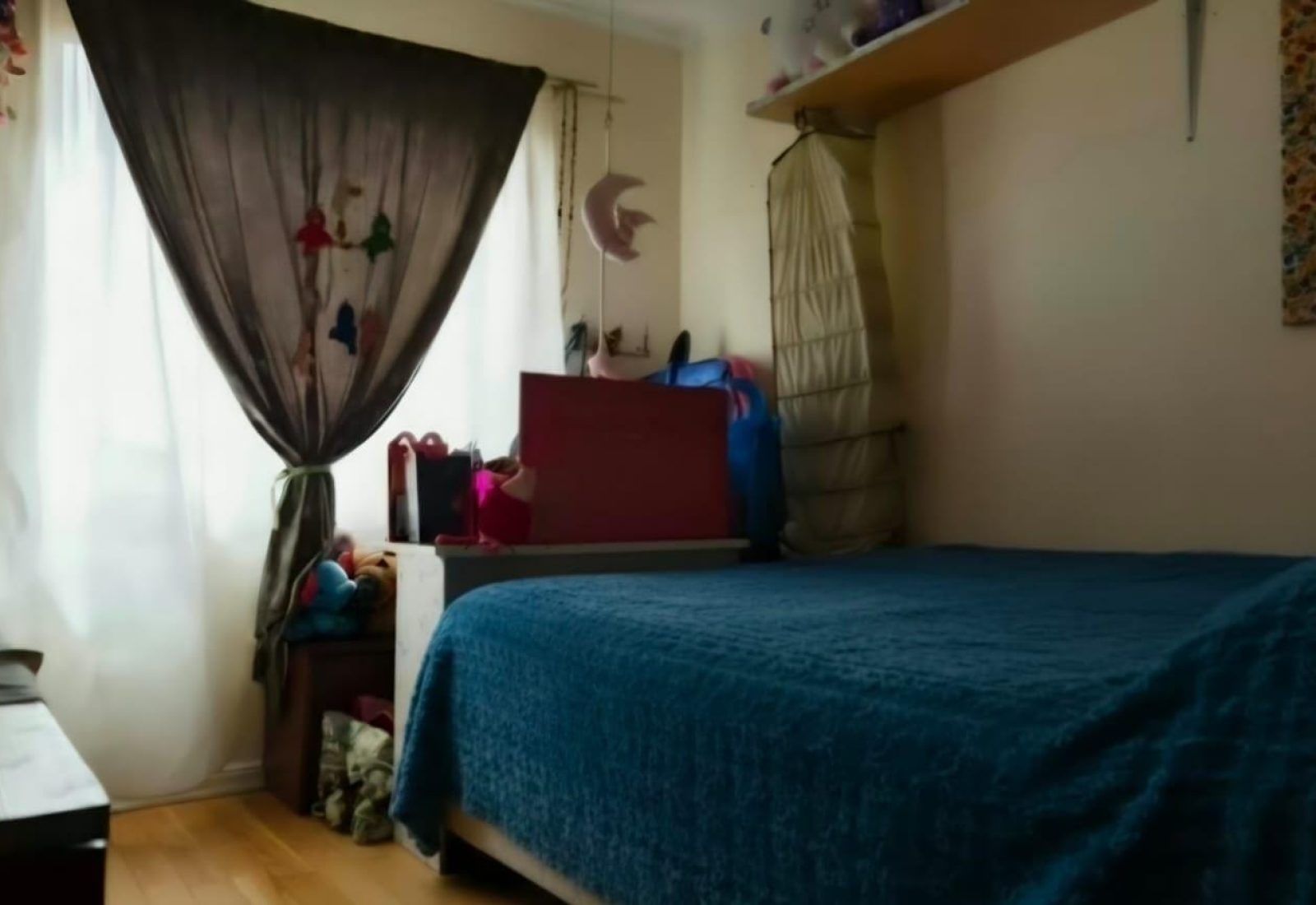 FOTO5