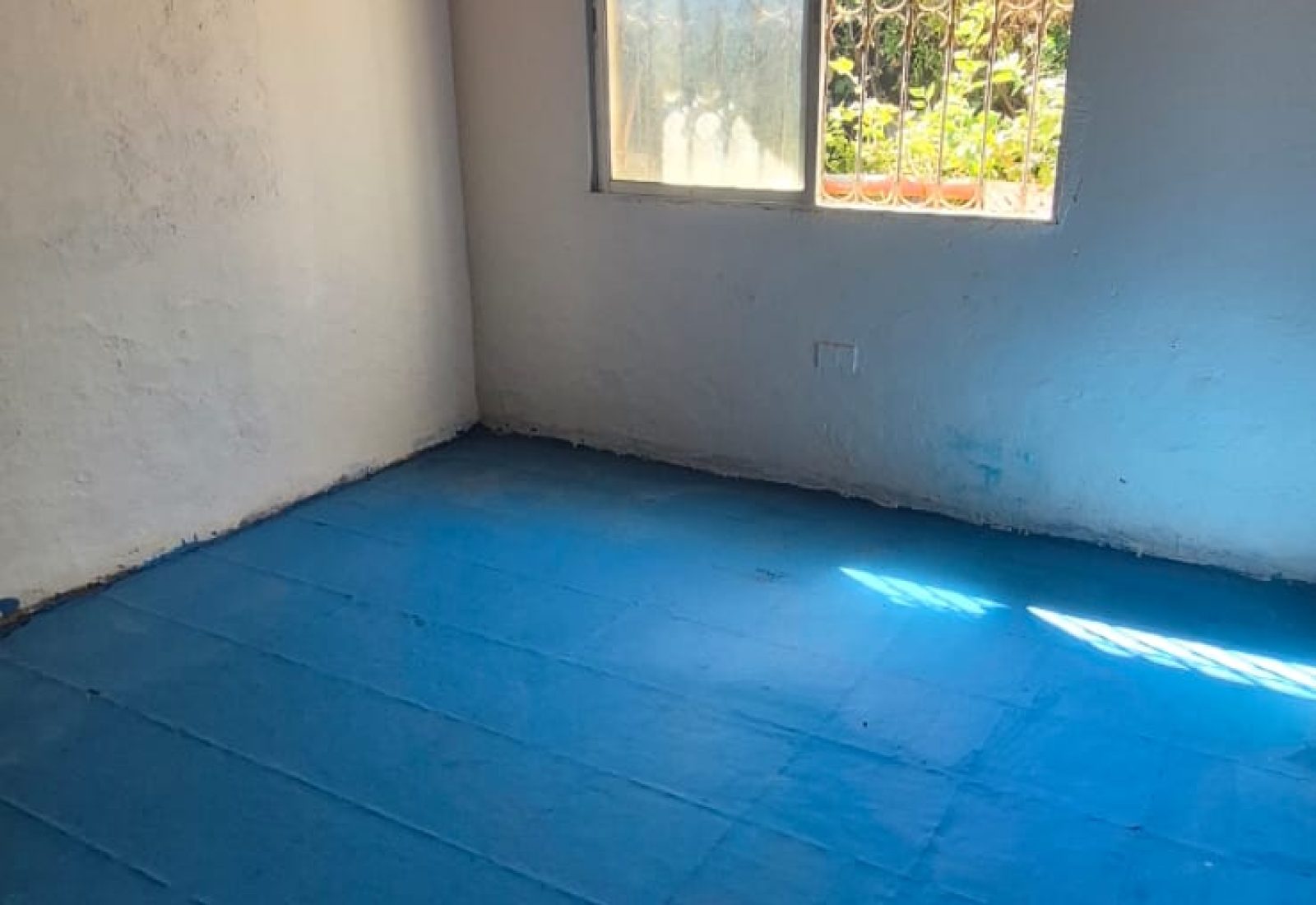 FOTO5