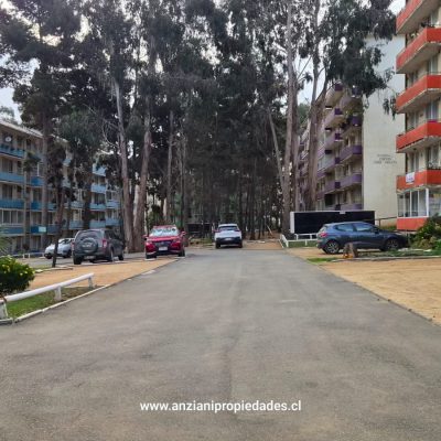 FOTO7