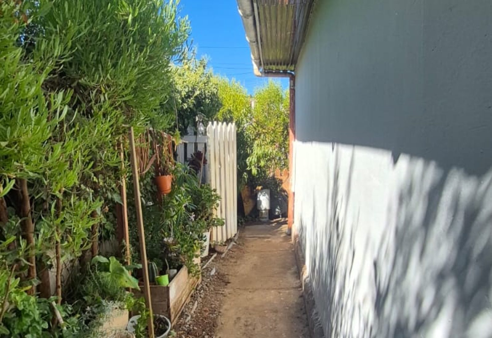 FOTO8