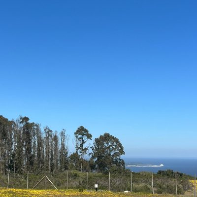 WhatsApp-Image-2024-02-28-at-19.45.13-1