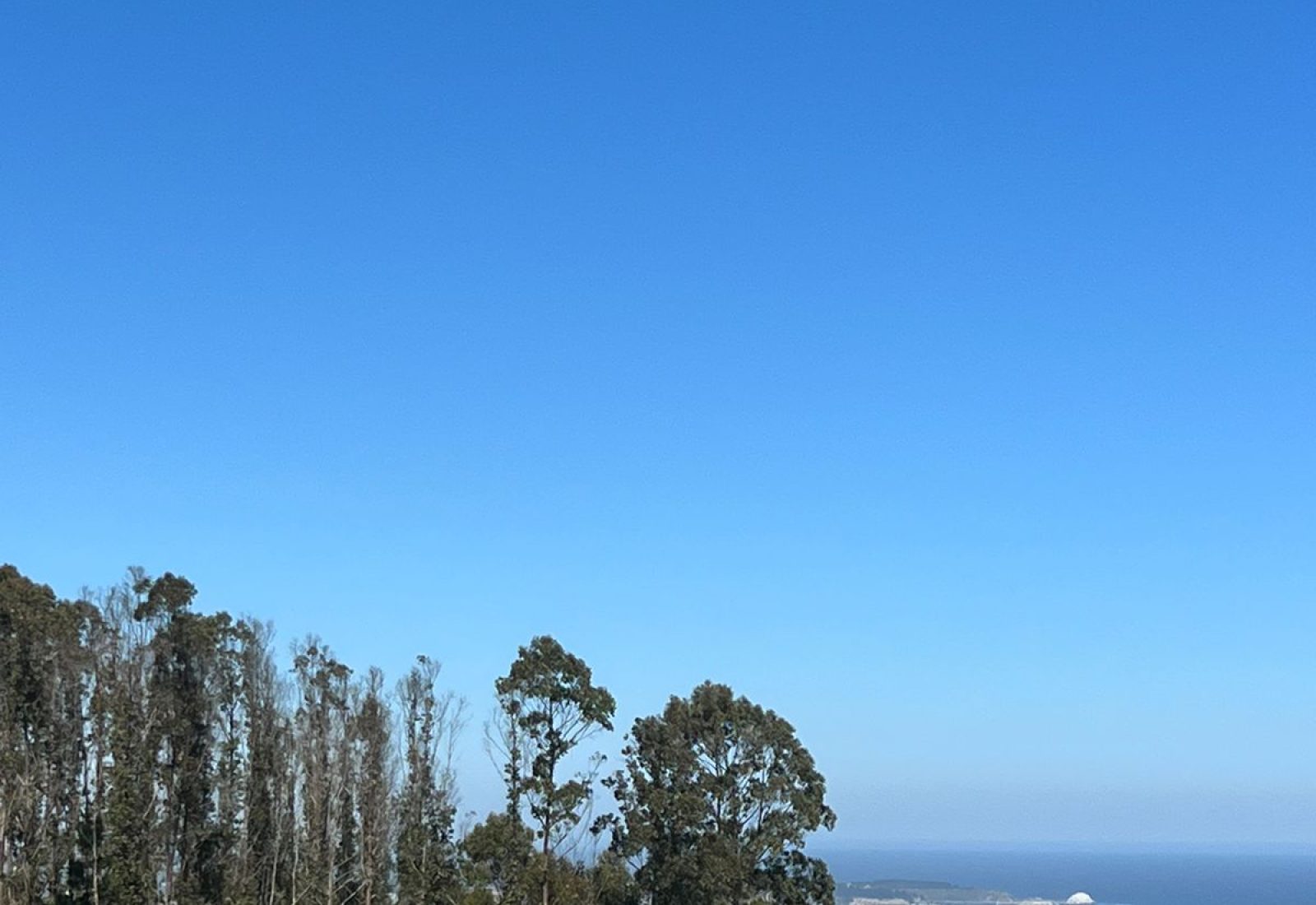 WhatsApp-Image-2024-02-28-at-19.45.13-1