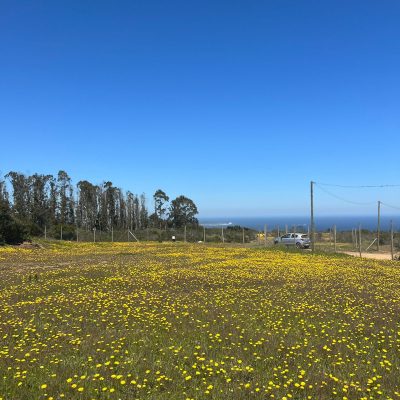 WhatsApp-Image-2024-02-28-at-19.45.13