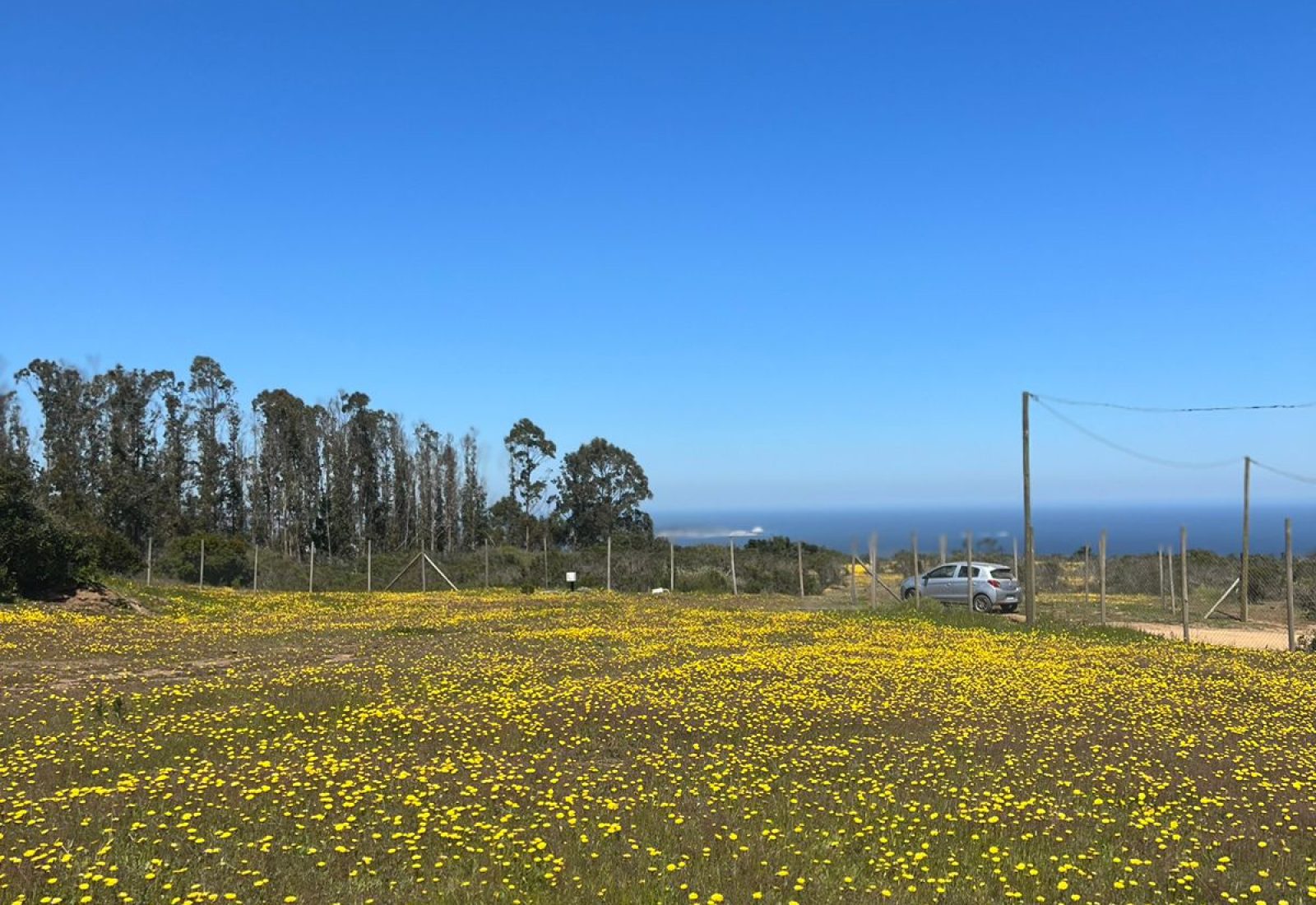 WhatsApp-Image-2024-02-28-at-19.45.13