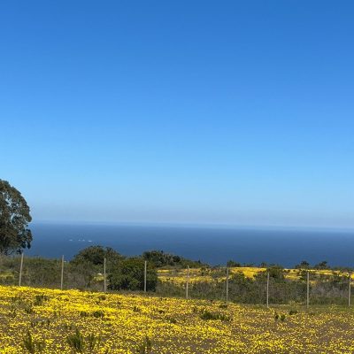 WhatsApp-Image-2024-02-28-at-19.45.14-1