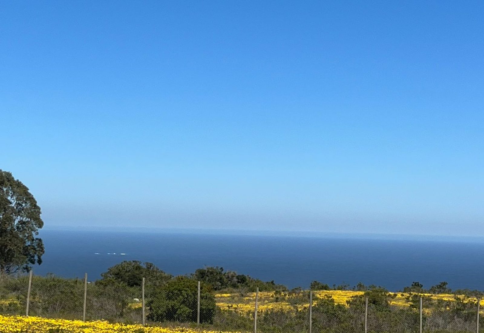 WhatsApp-Image-2024-02-28-at-19.45.14-1