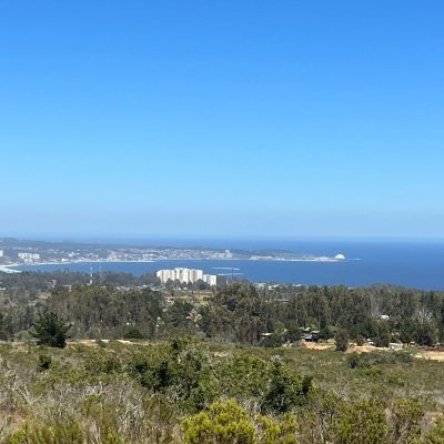 WhatsApp-Image-2024-02-28-at-19.45.14-4