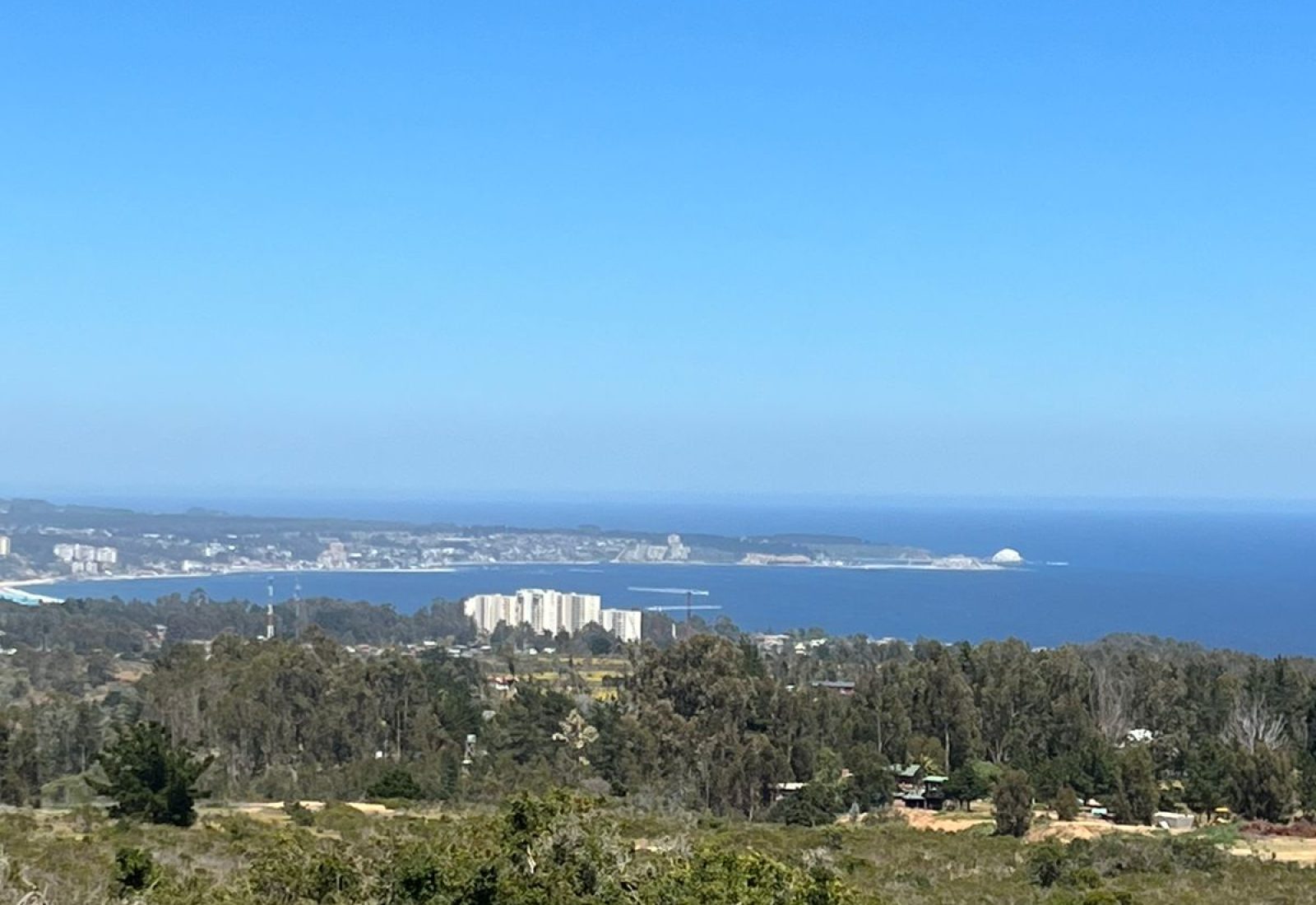 WhatsApp-Image-2024-02-28-at-19.45.14-4