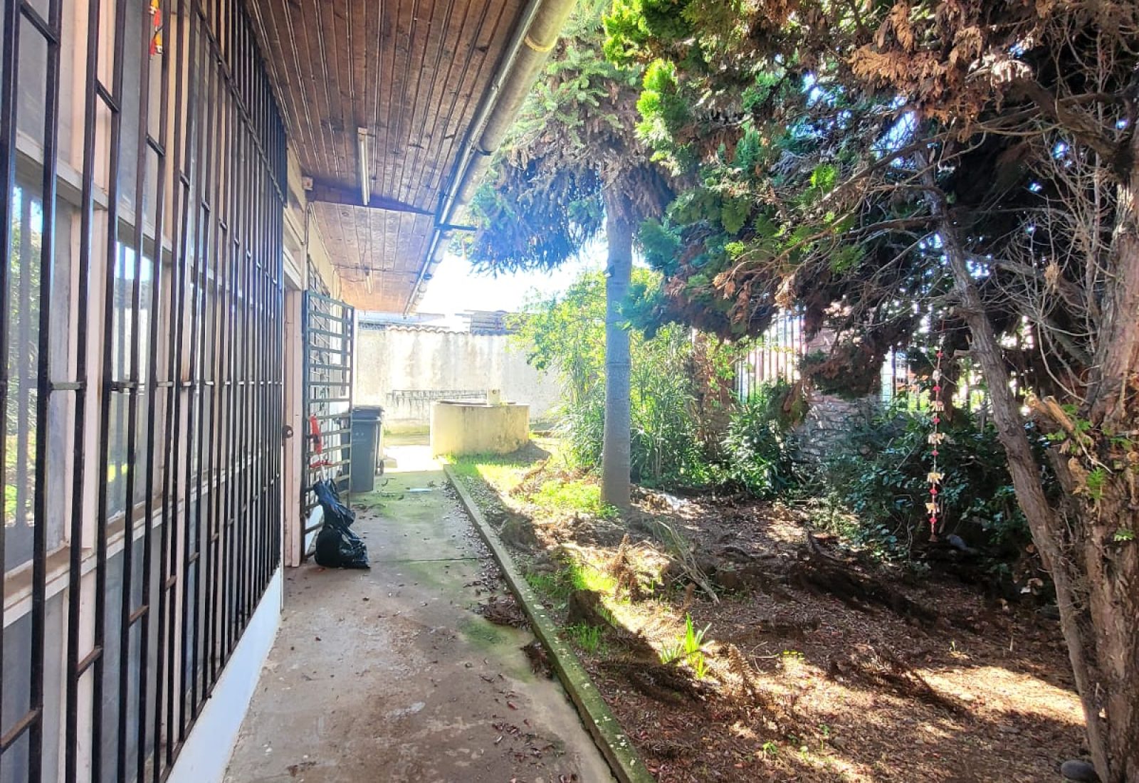 foto2