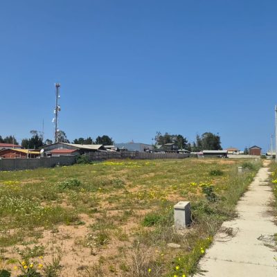foto2